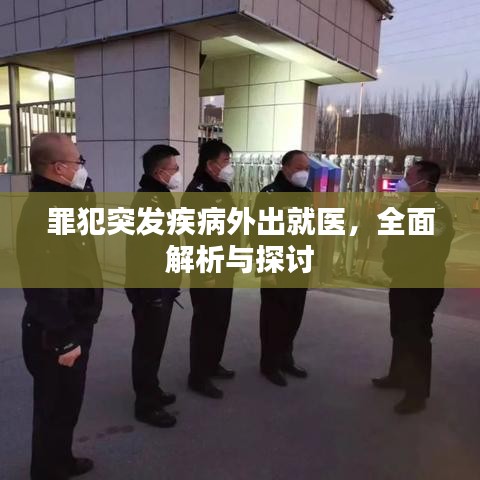 罪犯突发疾病外出就医，全面解析与探讨