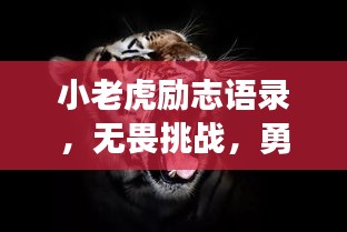 小老虎励志语录，无畏挑战，勇往直前，激发无限潜能！