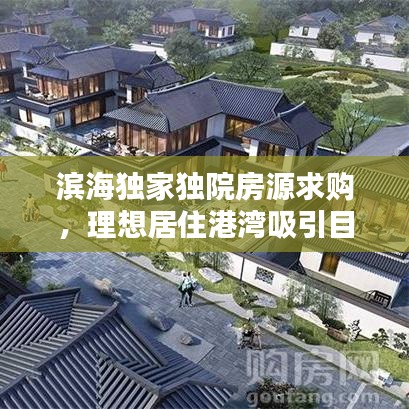 滨海独家独院房源求购，理想居住港湾吸引目光