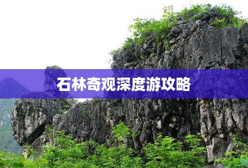 石林奇观深度游攻略
