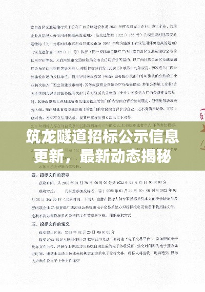 筑龙隧道招标公示信息更新，最新动态揭秘