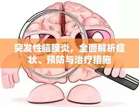 突发性脑膜炎，全面解析症状、预防与治疗措施