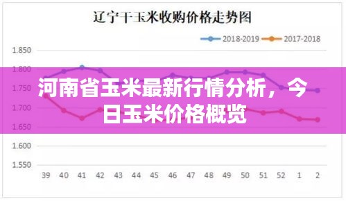 河南省玉米最新行情分析，今日玉米价格概览