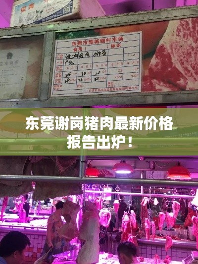 东莞谢岗猪肉最新价格报告出炉！