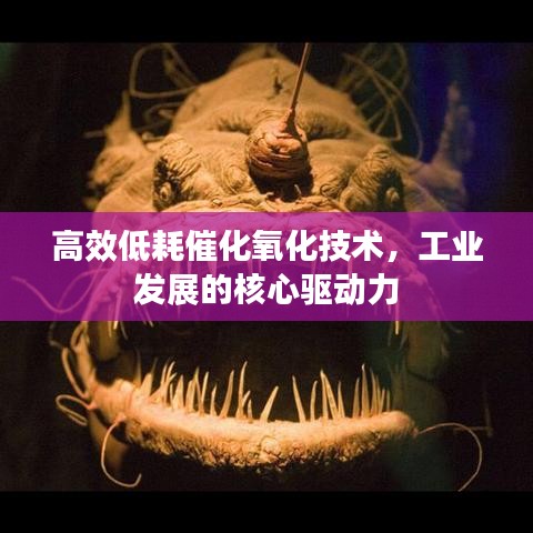 高效低耗催化氧化技术，工业发展的核心驱动力
