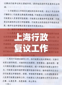 上海行政复议工作规范详解，高效、公正、透明的法治实践之路