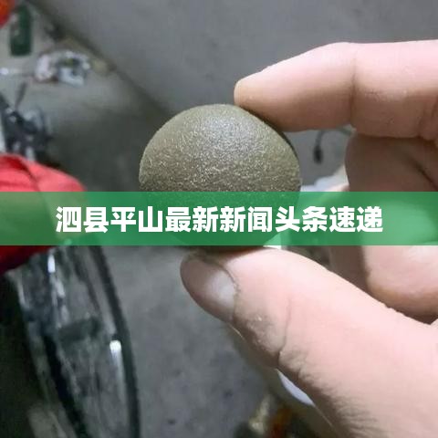 泗县平山最新新闻头条速递