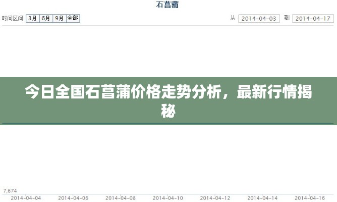 今日全国石菖蒲价格走势分析，最新行情揭秘