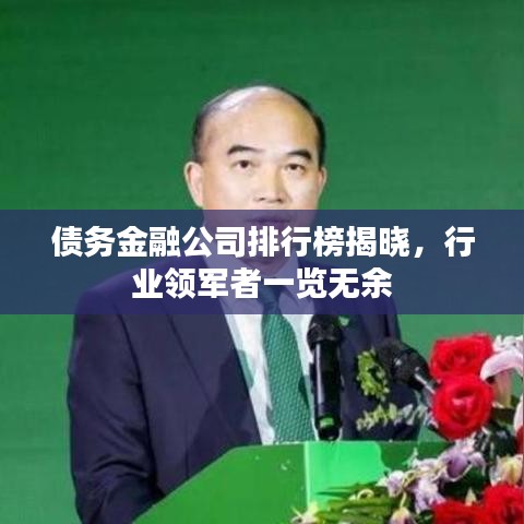 债务金融公司排行榜揭晓，行业领军者一览无余