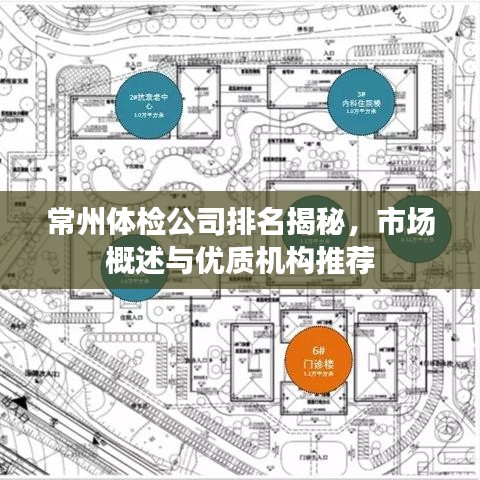 常州体检公司排名揭秘，市场概述与优质机构推荐