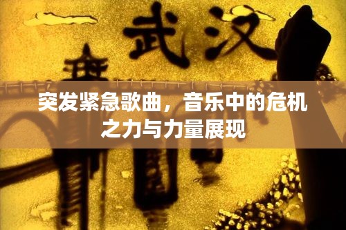 突发紧急歌曲，音乐中的危机之力与力量展现
