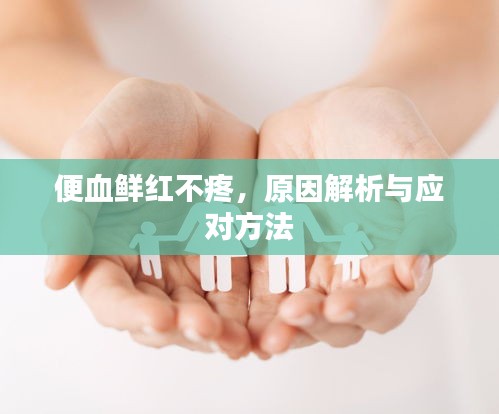 便血鲜红不疼，原因解析与应对方法