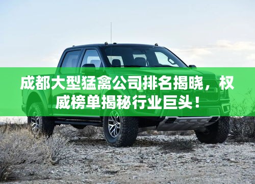 成都大型猛禽公司排名揭晓，权威榜单揭秘行业巨头！