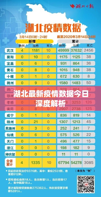 湖北最新疫情数据今日深度解析