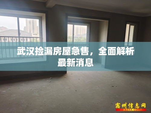 武汉捡漏房屋急售，全面解析最新消息