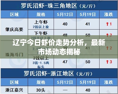 辽宁今日虾价走势分析，最新市场动态揭秘