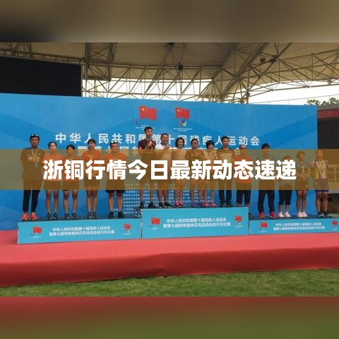浙铜行情今日最新动态速递
