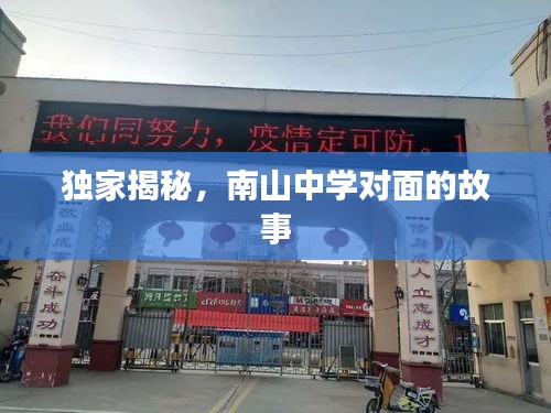 独家揭秘，南山中学对面的故事