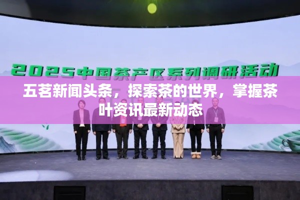 五茗新闻头条，探索茶的世界，掌握茶叶资讯最新动态