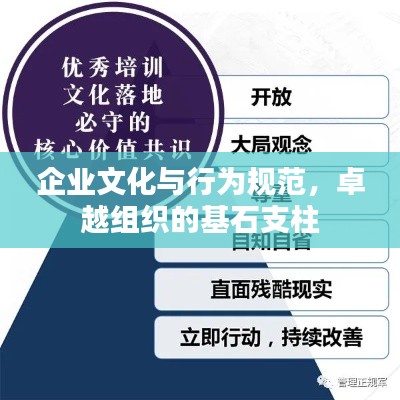 企业文化与行为规范，卓越组织的基石支柱