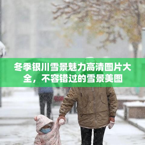 七贵三公