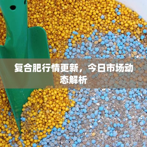 复合肥行情更新，今日市场动态解析