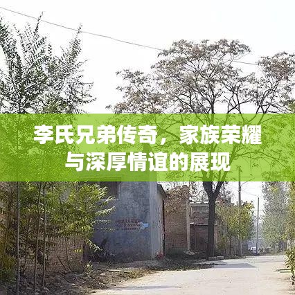 李氏兄弟传奇，家族荣耀与深厚情谊的展现