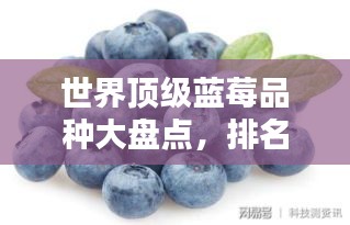 2025年6月6日 第3页