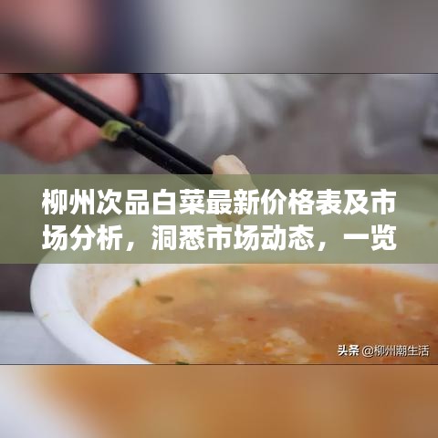 柳州次品白菜最新价格表及市场分析，洞悉市场动态，一览白菜行情