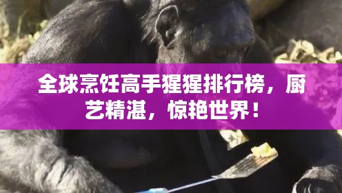 全球烹饪高手猩猩排行榜，厨艺精湛，惊艳世界！