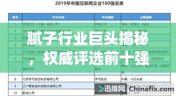 腻子行业巨头揭秘，权威评选前十强企业榜单