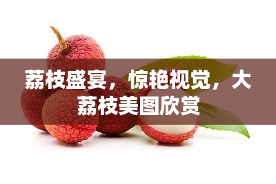 荔枝盛宴，惊艳视觉，大荔枝美图欣赏