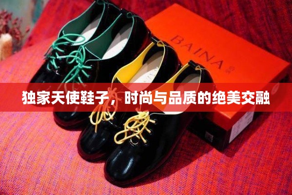 独家天使鞋子，时尚与品质的绝美交融
