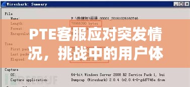 PTE客服应对突发情况，挑战中的用户体验保障