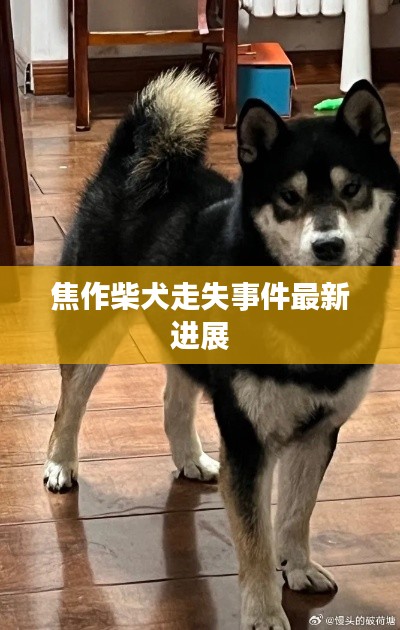 鸟云之阵