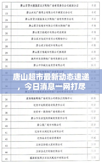 唐山超市最新动态速递，今日消息一网打尽