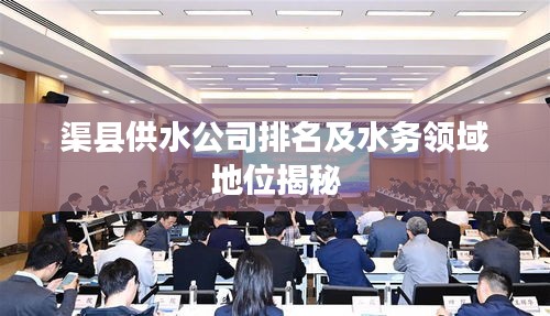 渠县供水公司排名及水务领域地位揭秘