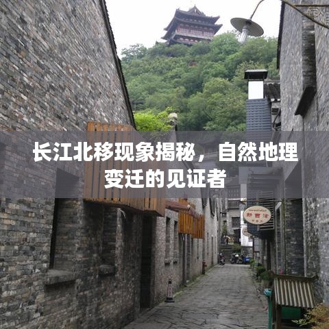 长江北移现象揭秘，自然地理变迁的见证者