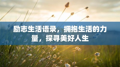 励志生活语录，拥抱生活的力量，探寻美好人生