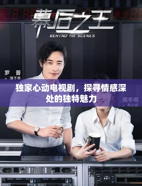独家心动电视剧，探寻情感深处的独特魅力