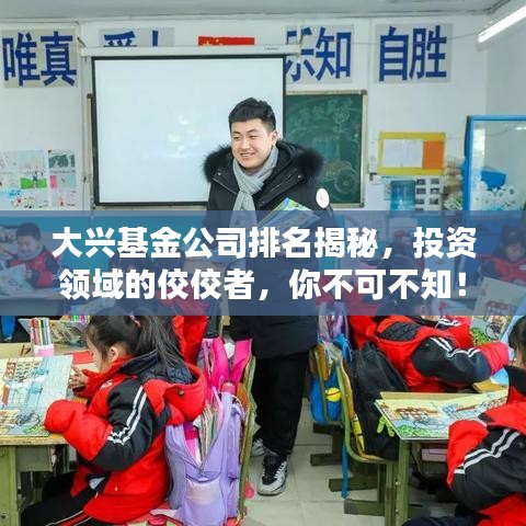 大兴基金公司排名揭秘，投资领域的佼佼者，你不可不知！