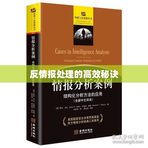 反情报处理的高效秘诀