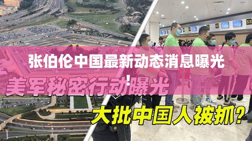 张伯伦中国最新动态消息曝光！