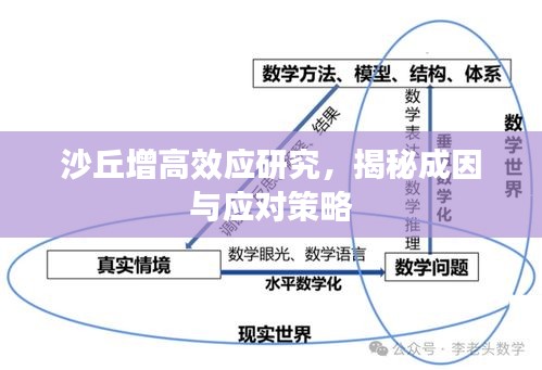 沙丘增高效应研究，揭秘成因与应对策略