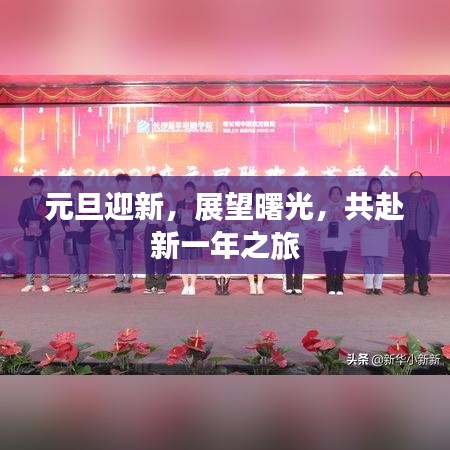 元旦迎新，展望曙光，共赴新一年之旅
