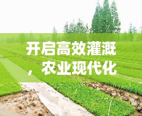 开启高效灌溉，农业现代化发展的必经之路