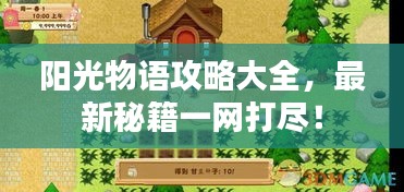 阳光物语攻略大全，最新秘籍一网打尽！