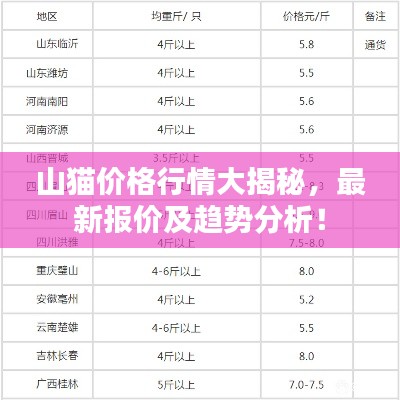 山猫价格行情大揭秘，最新报价及趋势分析！