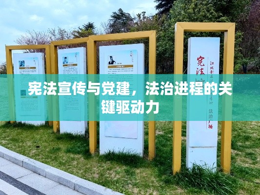 宪法宣传与党建，法治进程的关键驱动力