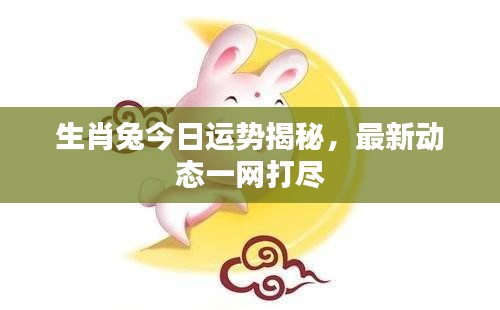 生肖兔今日运势揭秘，最新动态一网打尽